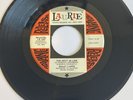 Northern Soul Original, Hoagy Lands.  “ The Next In Line ” Laurie DEMO