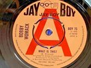 BOBBY WOMACK . What is this ? Rare JayBoy PROMO .