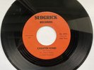 Northern Soul, R&B, Don Gardner, Cheating Kind, What Now My Love