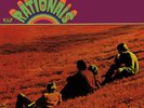 The Rationals SELF TITLED Limited Edition JUNE RSD 2022 New Colored Vinyl LP