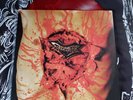 DISMEMBER indecent and obscene COLOR VINYL LP death metal autopsy entombed fetid