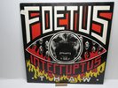 Foetus Interruptus ‎– Thaw - Torso 33083- Netherlands 1988-New Wave, Industrial