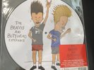 The Beavis And Butt-Head Experience LP 1993 Geffen Picture Disc US Seller