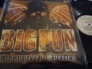 BIG PUN 