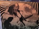 king gizzard and the lizard wizard vinyl Live at Levitation
