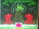 KING GIZZARD AND THE LIZARD WIZARD I'M IN YOUR MIND FUZZ HEAVENLY  HVNLPD109