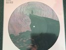 Roger Taylor Outsider Picture Disc LP Vinyl Queen 274/2000 New