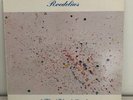 RARE ELECTRONIC Roedelius – Flieg' Vogel Fliege 80's Import LP AMBIENT Germany