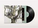 Destroyer Labyrinthitis (UK IMPORT) Vinyl NEW