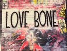 MOTHER LOVE BONE THE COMPLETE WORKS ON EARTH AS IT IS LP VINYL APPLE SHINE