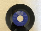 THE RAVELLES, rock GARAGE PUNK fuzz  60'S MICHIGAN