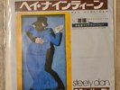 steely dan - HEY NINETEEN 45rpm 7