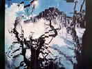 Bauhaus - Burning From The Inside (LP)