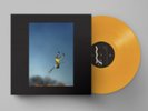 Yeah Yeah Yeahs COOL IT DOWN Limited Yellow  Photo Booklet Vinyl  LP Signed