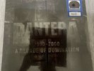 PANTERA 1990-2000 A DECADE OF DOMINATION LIMITED EDITION 2LP EXCLUSIVE BLACK ICE