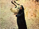 Fleetwood Mac The Pious Bird of Good Omen (Vinyl) 12