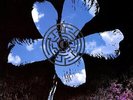 Runrig Flower Of The West Limited Edition Poster UK 12