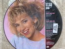 Debbie Gibson Shake Your Love Picture Disc LP Vinyl Record