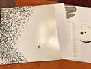 wilco sky blue sky 2 lp double album gate '07 w/lyric nonesuch 1313881 altrock