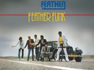 BLUE FEATHER Feather Funk LP RSD #318/750 Yellow Vinyl New