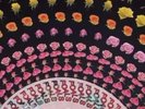 FOALS - ZOETROPE LP - LIFE IS YOURS - Ltd VINYL. NEW / SEALED