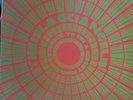 The Black Angels - Directions to See a Ghost (VINYL 3xLP) USED VG++
