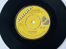 Northern Soul UK Grapevine 136 Al Williams. “ I Am Nothing “