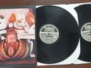 Acid Bath Paegan Terrorism Tactics 2LP Dax Riggs Rotten Records VG+ Vinyl Metal
