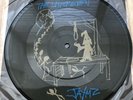 Metallica The Unforgiven 7inch Picture Disc