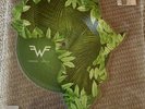 WEEZER AFRICA ROSANNA PICTURE DISC 10