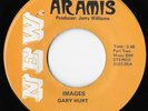GARY HURT Images / Innocent Lady Rare Private Garage Psych Sweet Soul Funk 45