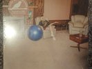 Julia Jacklin – Don't Let The Kids Win // Sand Vinyl LP Early Bird Edition