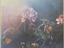Luis Alberto SPINETTA A 18' Del Sol LP Prog/Jazz Rock—Rare OG Dieciocho minutos