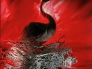 Depeche Mode Speak And Spell Sealed Vinyl LP - New + Sealed