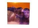 Siamese Dream by Smashing Pumpkins Double LP Gatefold Vinyl Reissue 2011 Record