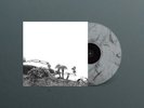 Timber Timbre - Hot Dreams Smoke Marble Vinyl Edition (2014 - UK - Reissue)