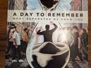 A Day To Remember What Separates Me from You (Record, 2013)