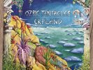Ozric Tentacles - Erpland Vinyl 2x LP - 1st press 1990 dovetail - EX/EX