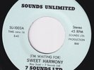 7 SOUNDS LTD I'm Waiting For Sweet Harmony RARE M- sweet soul 45 northern HEAR