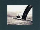 Vinyle - American Music Club - California (LP, Album)