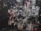 La Dispute: Wildlife (M- 2014 No Sleep, US