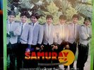 GRUPO SAMURAY LP / TIERNAS MENTIRAS / 33RPM VINYL RECORD DISA