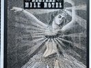 Neutral Milk Hotel Career Box Set Vinyl Records Sealed NEW