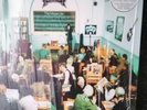 oasis album vinyl The master plan