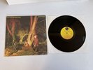 ECHO AND THE BUNNYMEN CROCODILES ORIG 80 LP SHRINK INNER NEW WAVE NM SIRE KOROVA