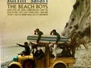 The Beach Boys 