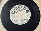 Topics w Frankie Valli 1962 DOOWOP 45 The Girl In My Dreams PERRI strong VG HEAR
