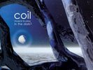 COIL -  Musick To Play In The Dark 2   12