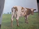 PINK FLOYD - ATOMIC HEART MOTHER ‎– HARVEST SHVL 781 Gatefold