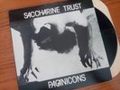 Saccharine Trust – Paganicons 1981 1st press SST 006 PUNK vinyl w/insert rare EX